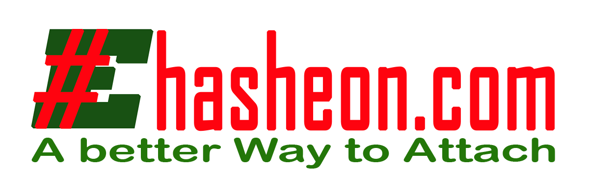 Hasheon Official Logo