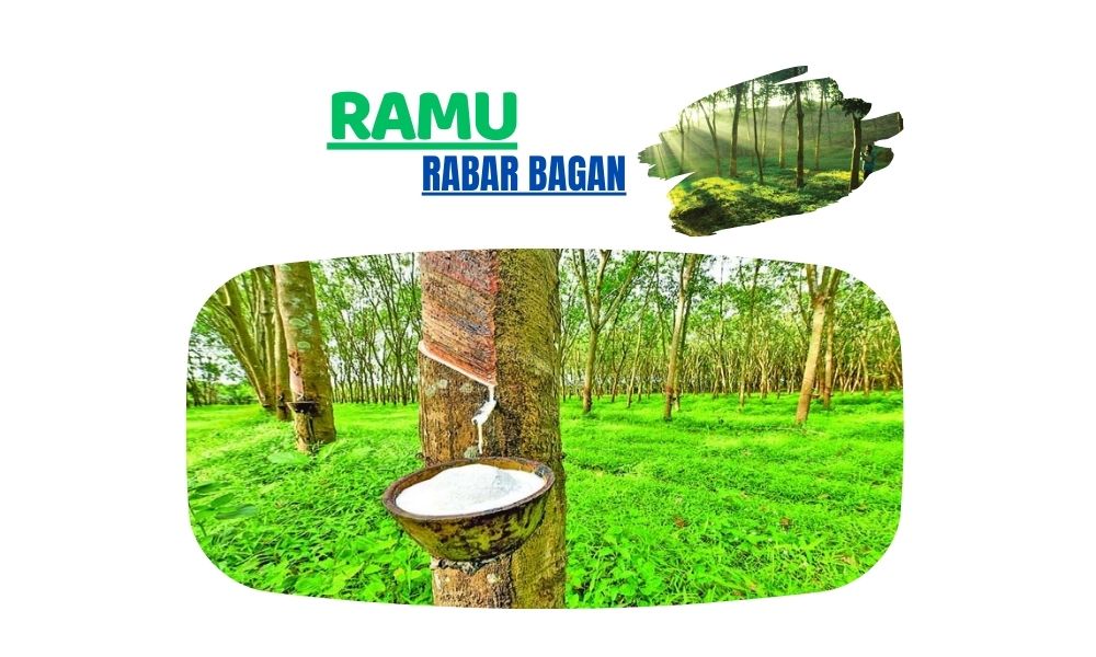 Ramu Rubber Garden