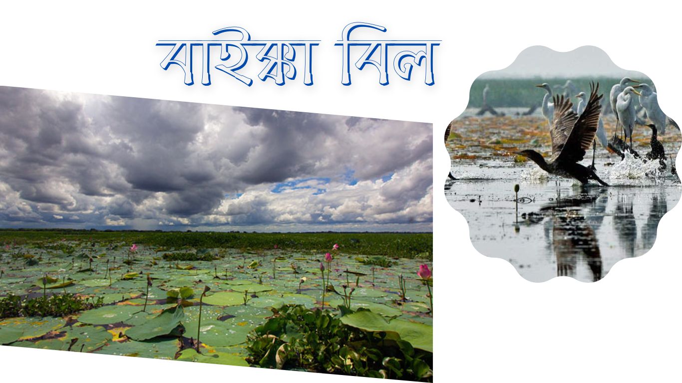 বাইক্কা বিল