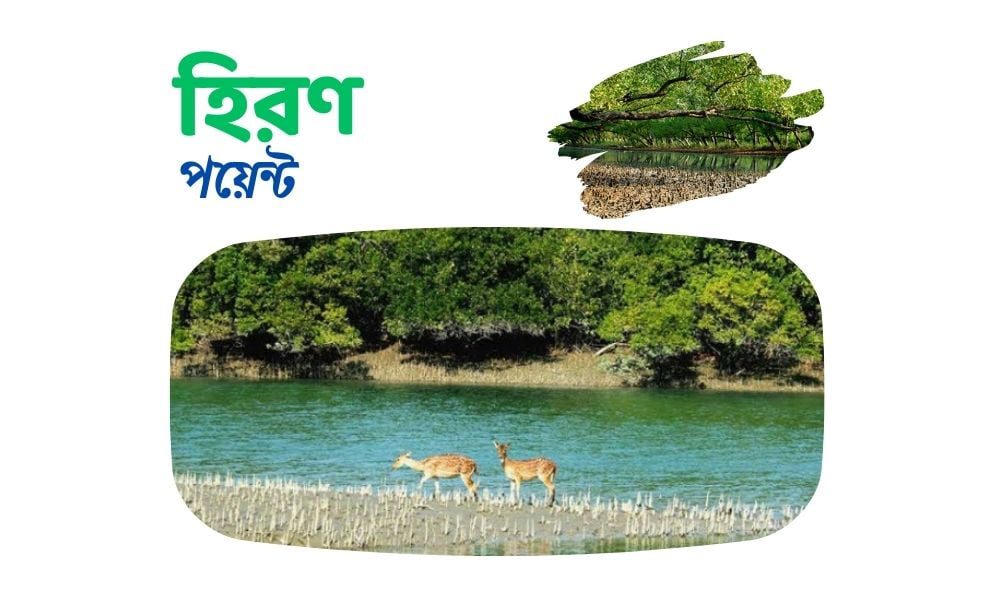 হিরণ পয়েন্ট