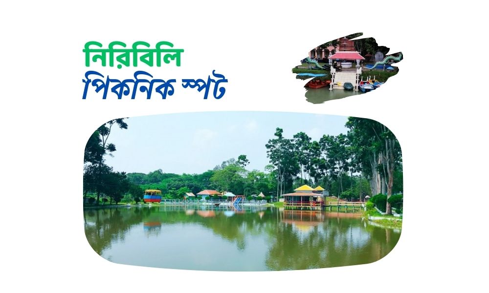 নিরিবিলি পিকনিক স্পট
