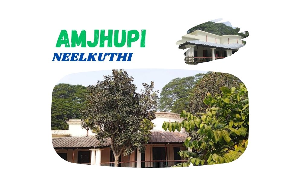 Amjhupi Neelkuthi